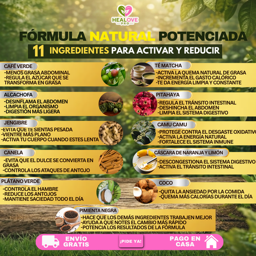 HEAL FIT (TÉ MATCHA QUE REDUCE Y ACTIVA)