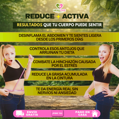 HEAL FIT (TÉ MATCHA QUE REDUCE Y ACTIVA)
